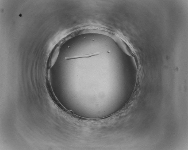 X0000088590007200706081339