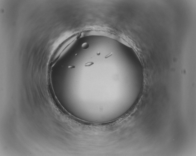 X0000088590008200706081339