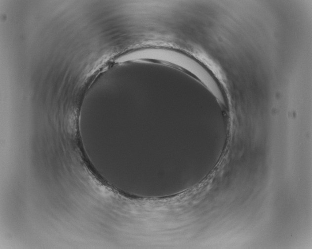 X0000088590009200706081339