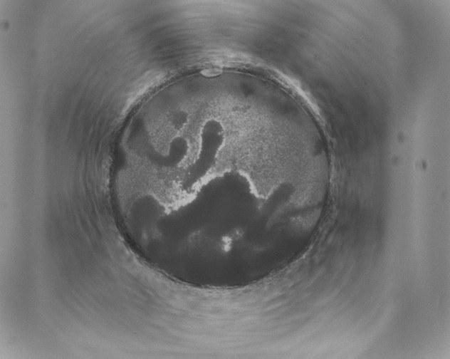 X0000088590010200706081339