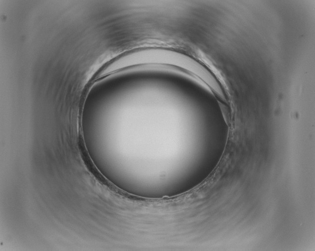 X0000088590011200706081339