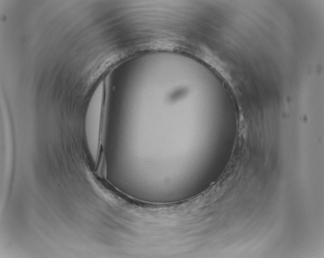 X0000088590013200706081339