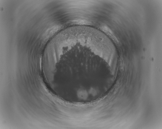 X0000088590014200706081339