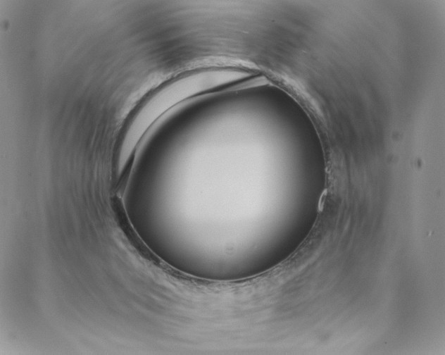 X0000088590015200706081339