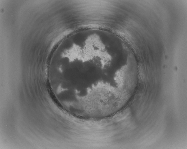 X0000088590016200706081339