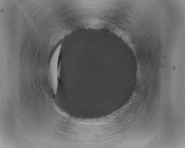 X0000088590017200706081339