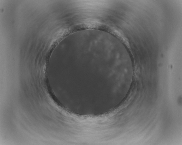 X0000088590018200706081339