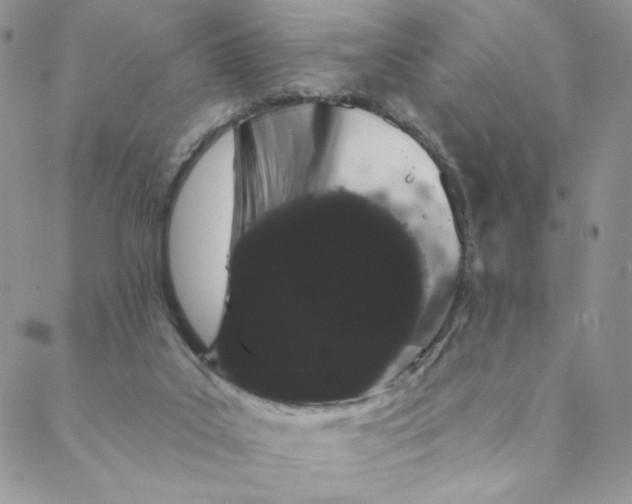 X0000088590019200706081339