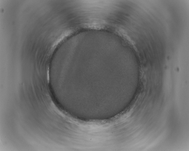 X0000088590020200706081339