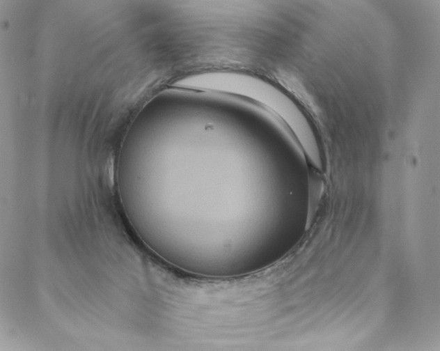 X0000088590021200706081339