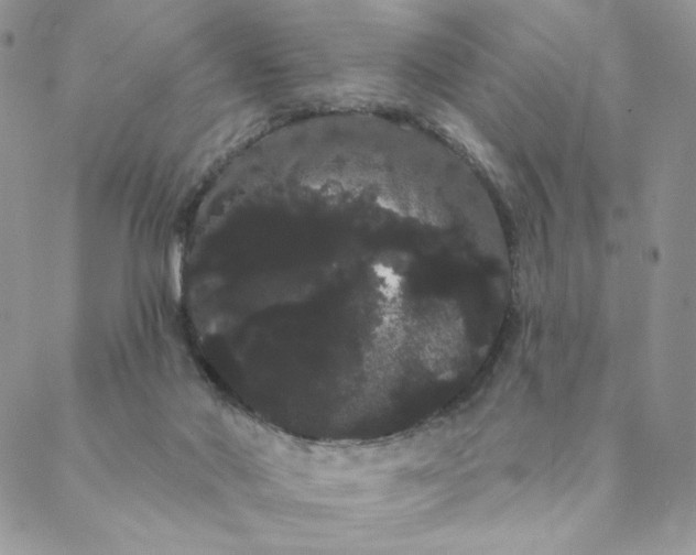 X0000088590022200706081339