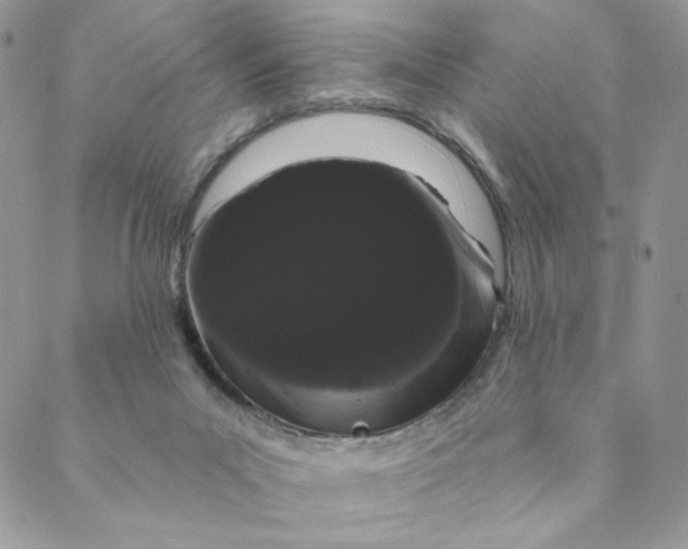 X0000088590023200706081339