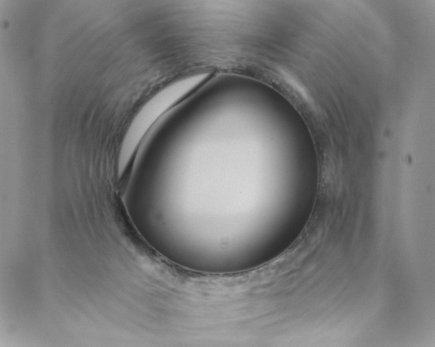 X0000088590025200706081339