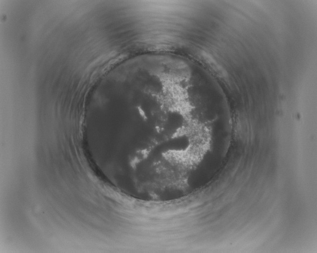 X0000088590026200706081339