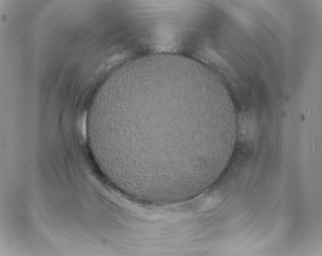 X0000088590028200706081339