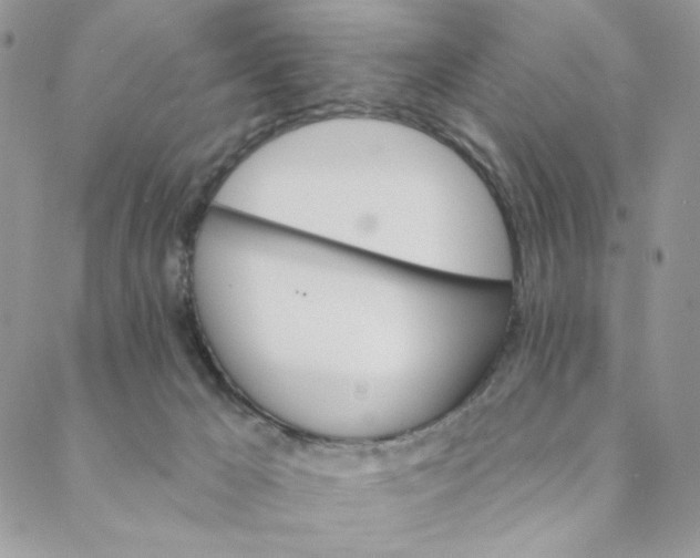 X0000088590029200706081339