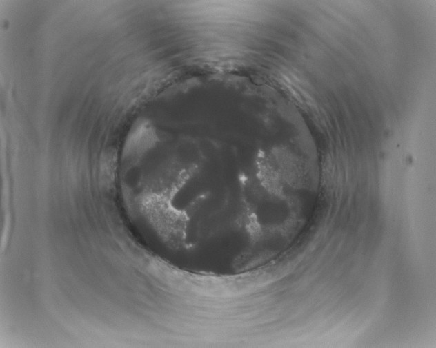 X0000088590030200706081339