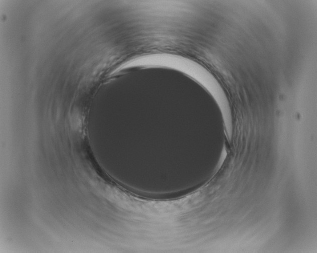 X0000088590031200706081339