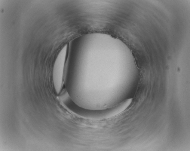 X0000088590033200706081339