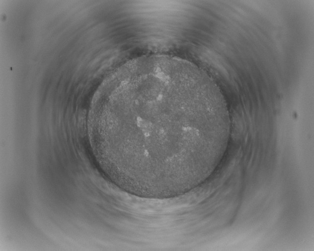 X0000088590034200706081339