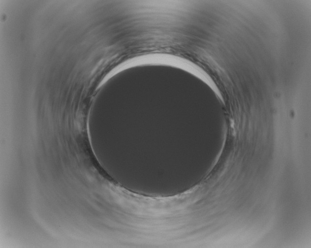 X0000088590035200706081339