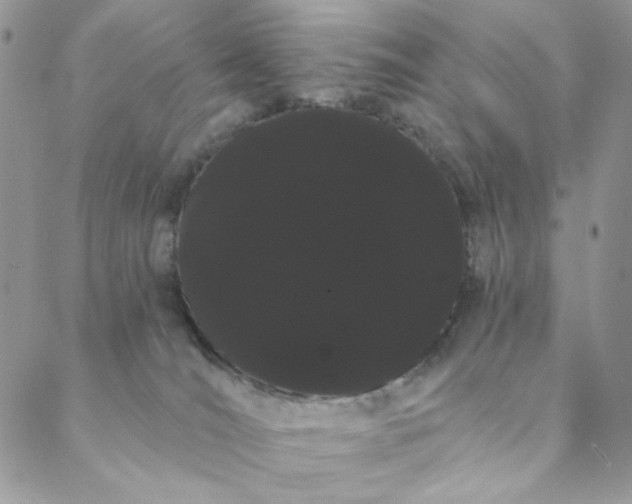 X0000088590036200706081339