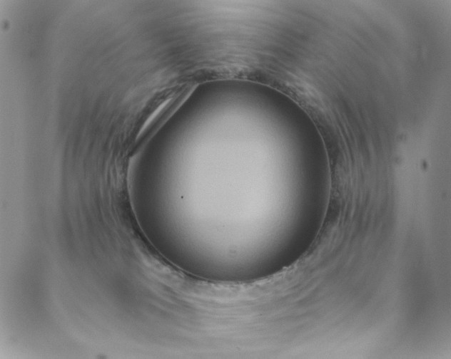 X0000088590037200706081339