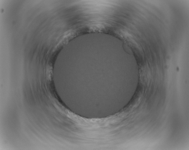 X0000088590038200706081339