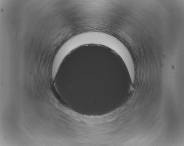 X0000088590039200706081339