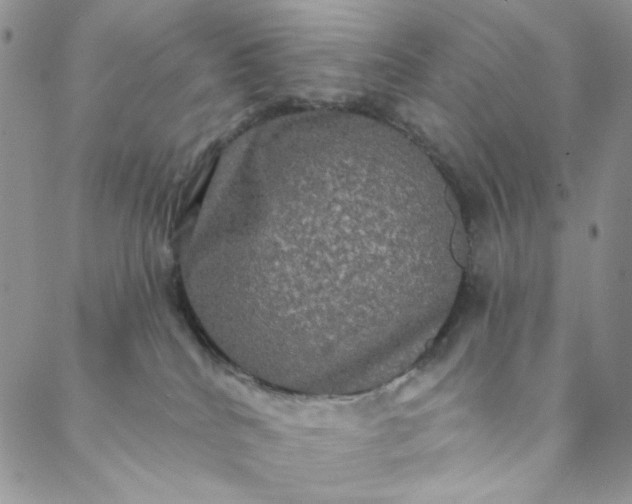 X0000088590040200706081339