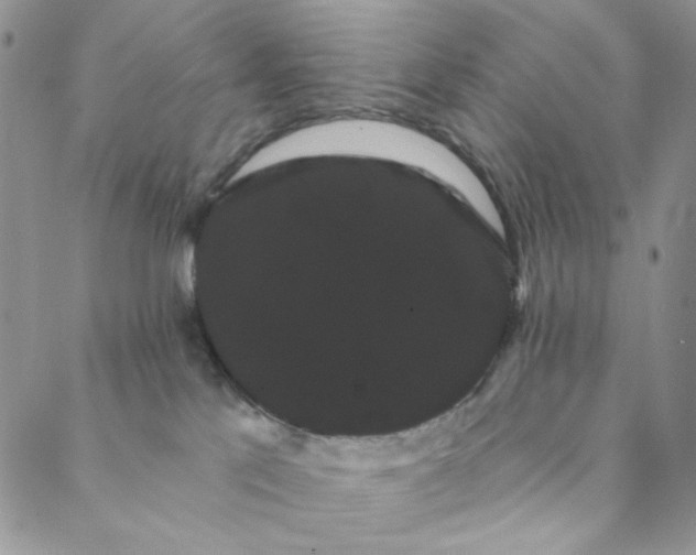 X0000088590041200706081339