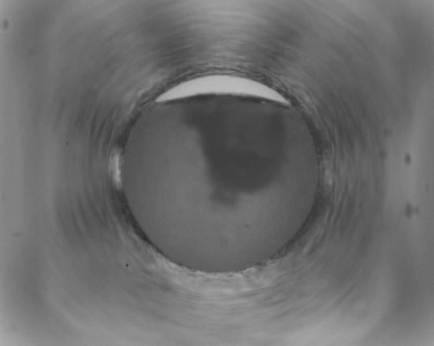 X0000088590042200706081339