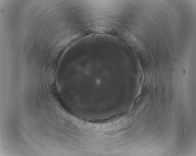 X0000088590043200706081339