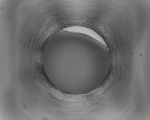 X0000088590044200706081339