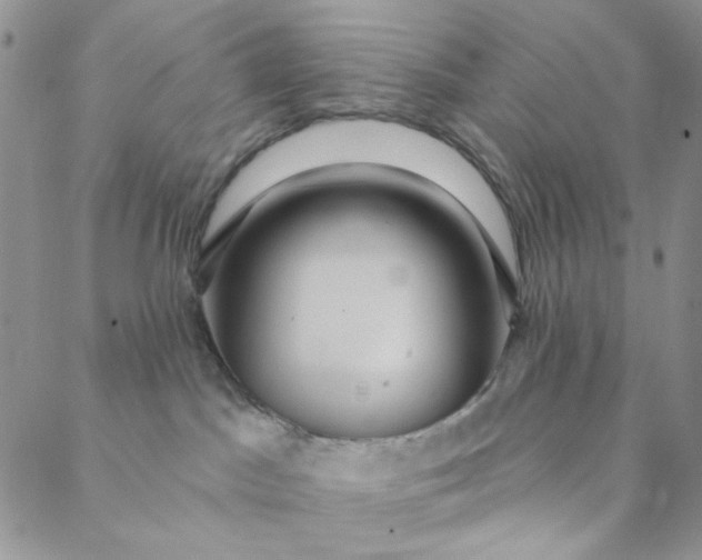 X0000088590045200706081339