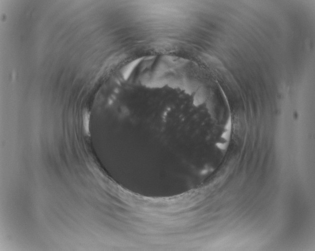 X0000088590046200706081338