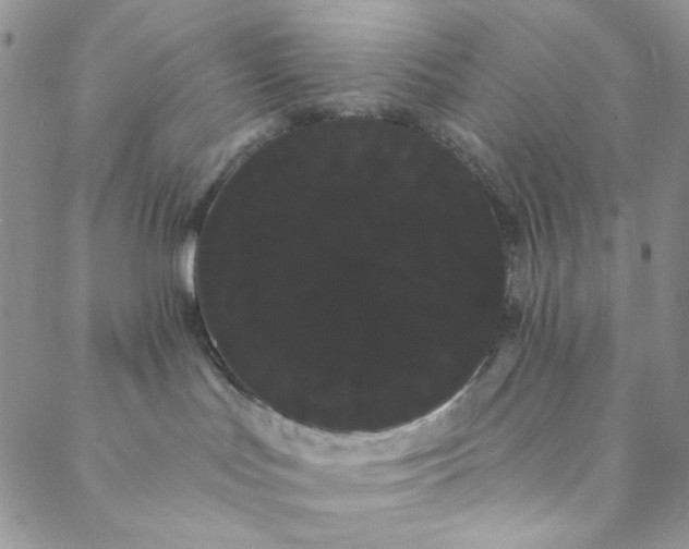 X0000088590047200706081338