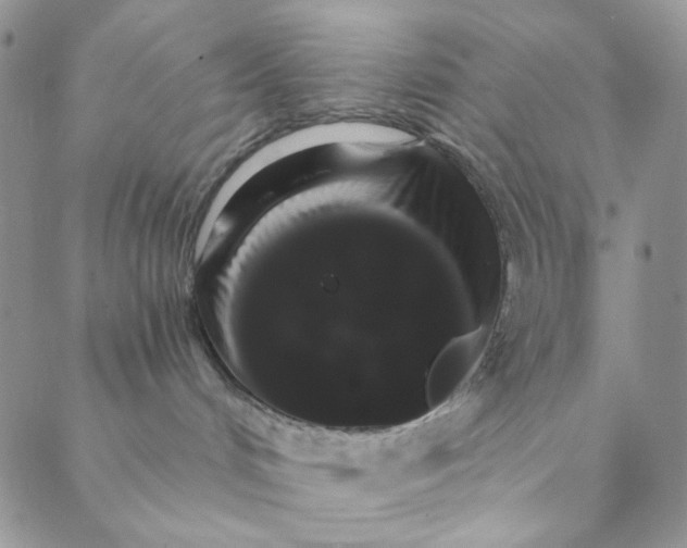 X0000088590048200706081338