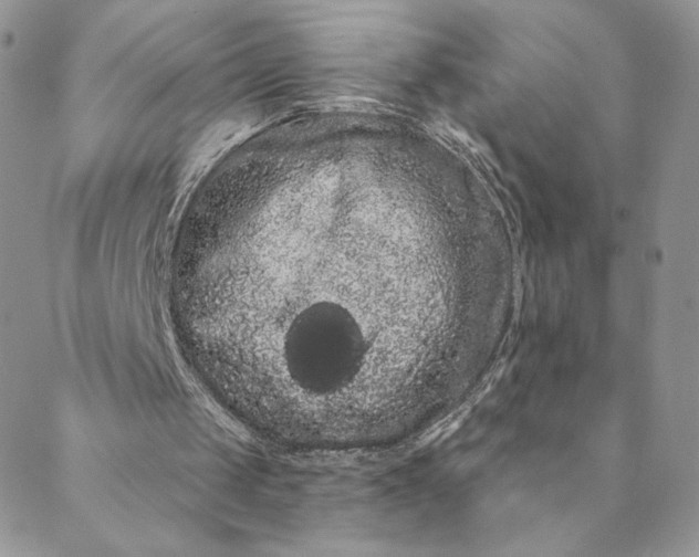 X0000088590049200706081338