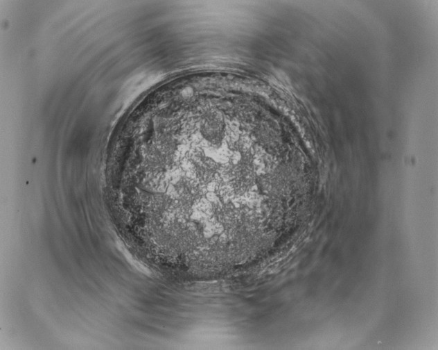 X0000088590050200706081338