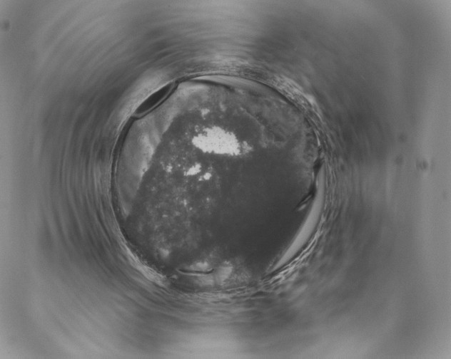 X0000088590051200706081338