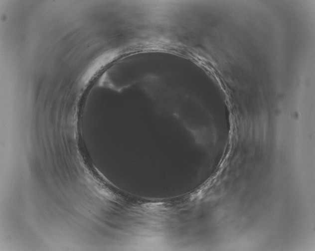 X0000088590054200706081338