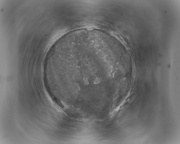 X0000088590055200706081338