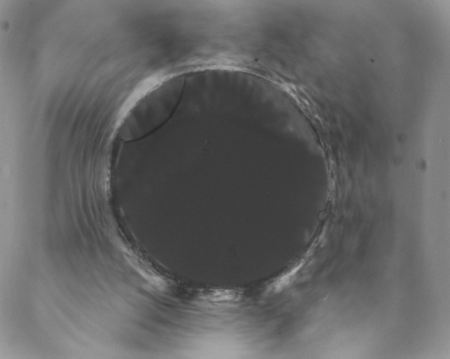 X0000088590056200706081338