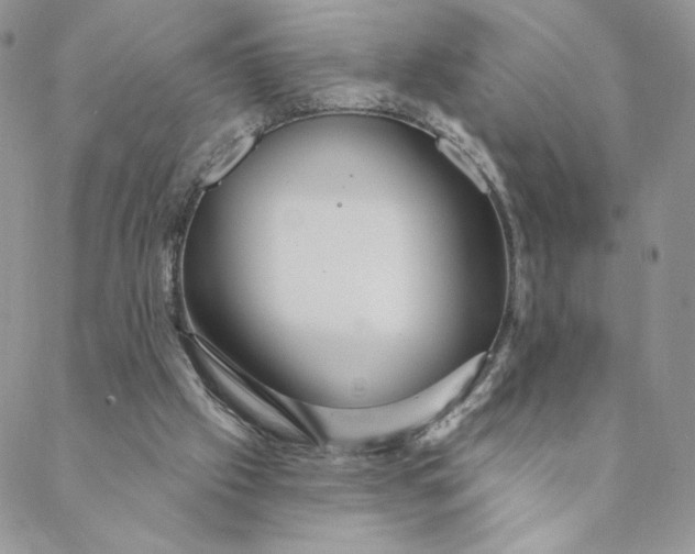 X0000088590057200706081338