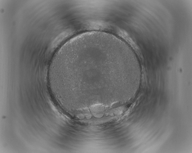 X0000088590058200706081338