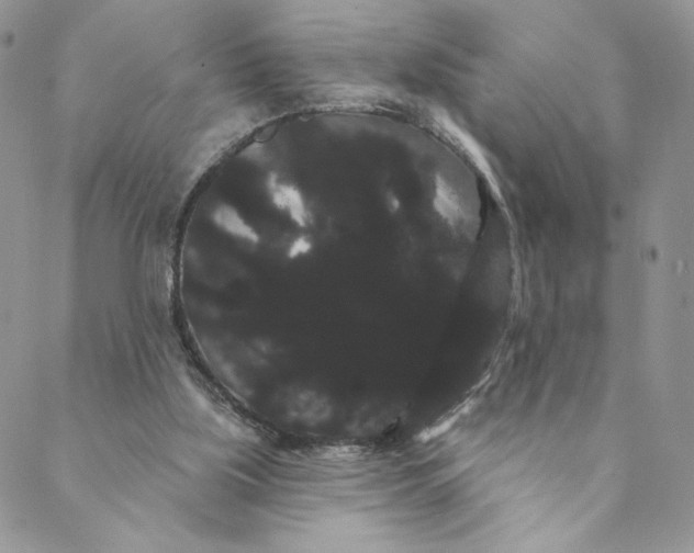 X0000088590059200706081338