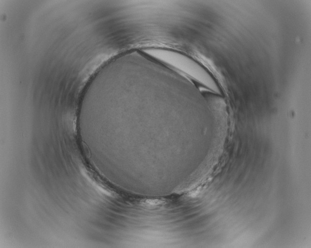 X0000088590060200706081338