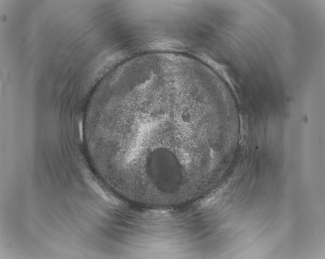 X0000088590061200706081338