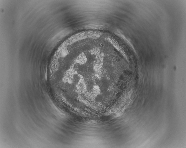 X0000088590062200706081338